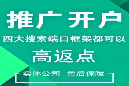 SEO策略在电商平台的成功应用案例